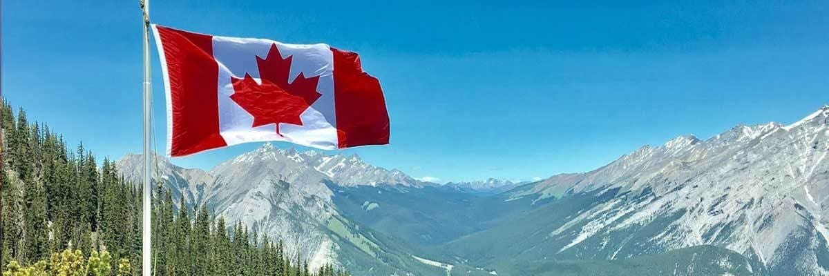 Leather iPhone Cases in Canada | Kulör Cases